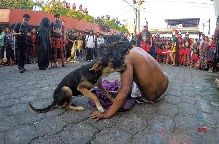 Perrito consuela al actor que interpretó a Cristo en Guatemala 