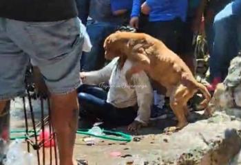 Resguardan a perrito que intentó defender a la presunta asesina de Camila en Taxco