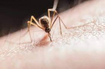 Fiebre del dengue se est&aacute; propagando en lugares donde no exist&iacute;a: OMS