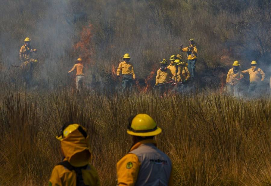 Instalan torres de vigilancia en Edomex para combatir incendios forestales