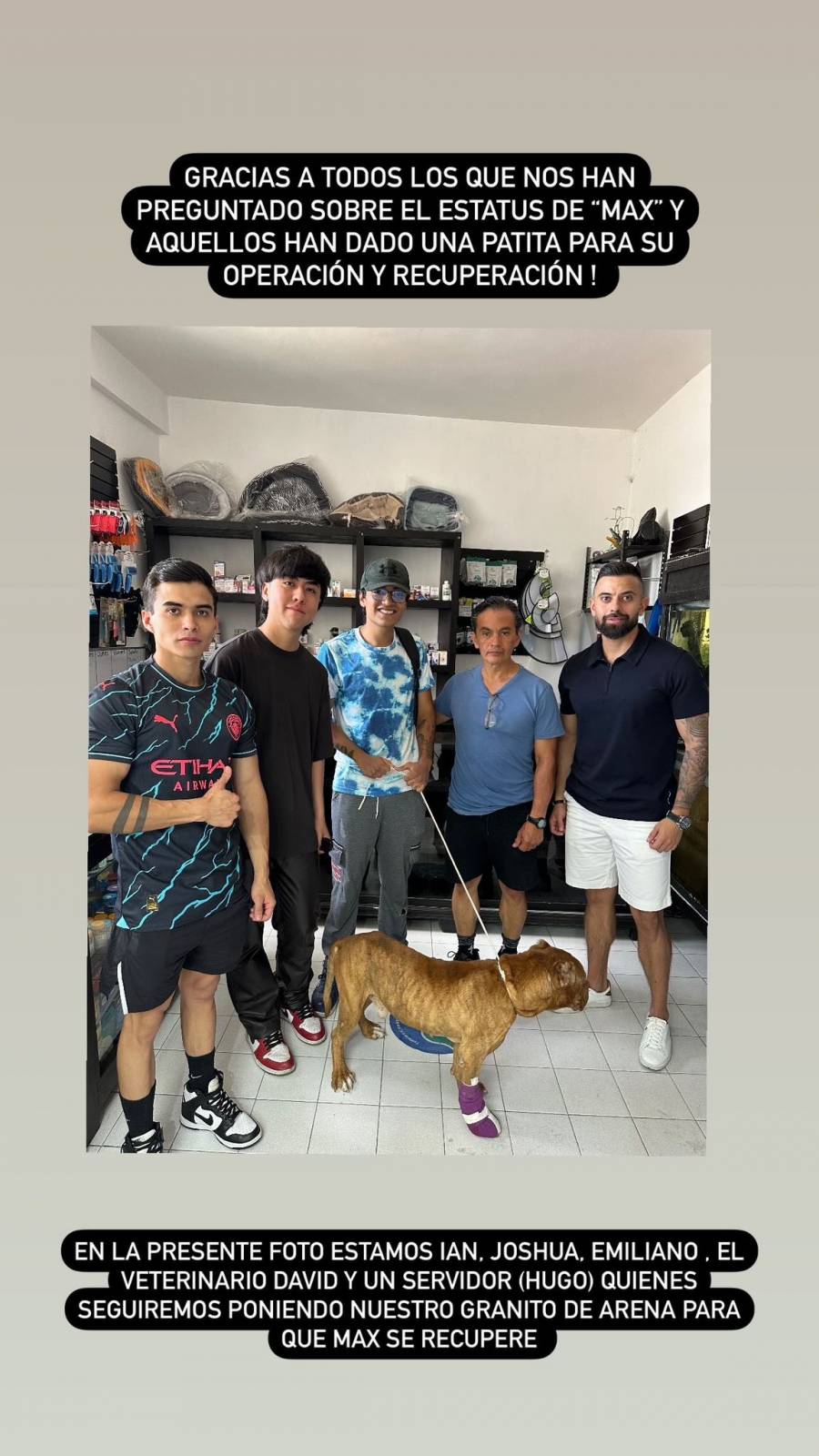 Mascota rescatada tras linchamiento en Taxco de Alarcón encuentra un nuevo hogar