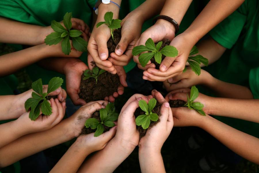 Invita GEM a niñas, niños y adolescentes a convertirse en Cuidadores del Medio Ambiente