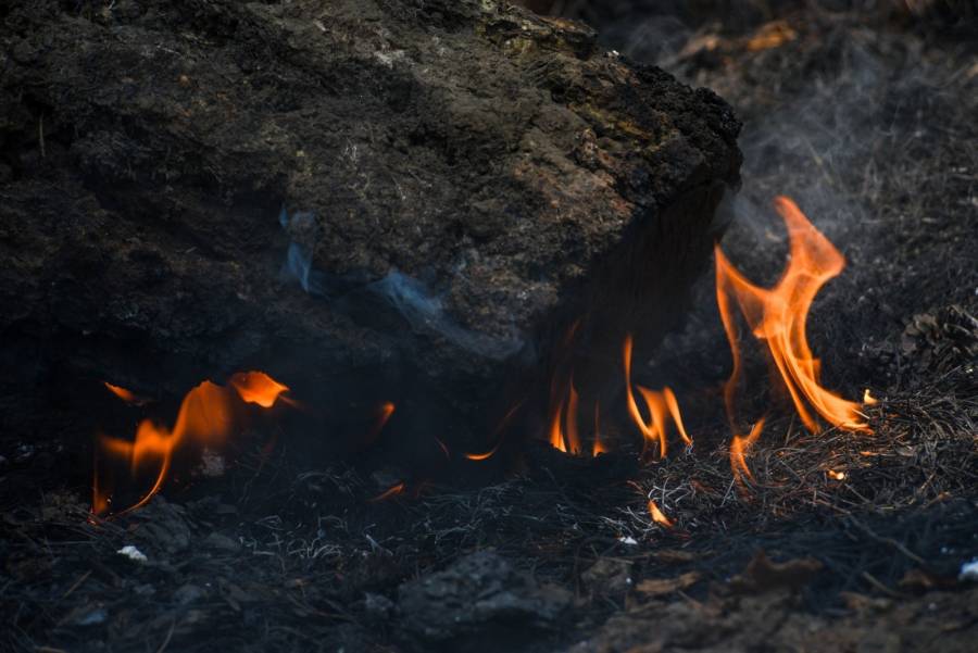 Cuáles son los requisitos de voluntarios para combatir incendios forestales