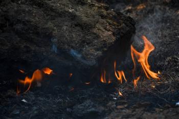 Cu&aacute;les son los requisitos de voluntarios para combatir incendios forestales