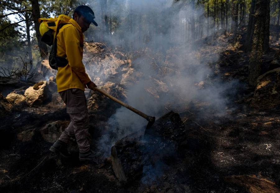 Estiman que 99% de incendios forestales son debido a descuido humano