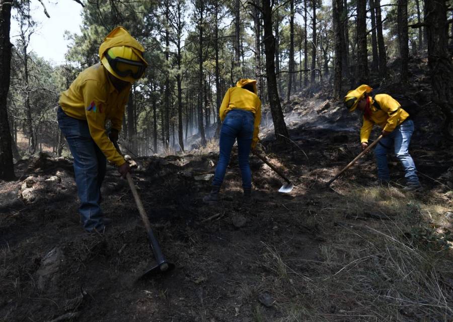 Tres incendios permanecen activos en el Estado de México, reporta Probosque