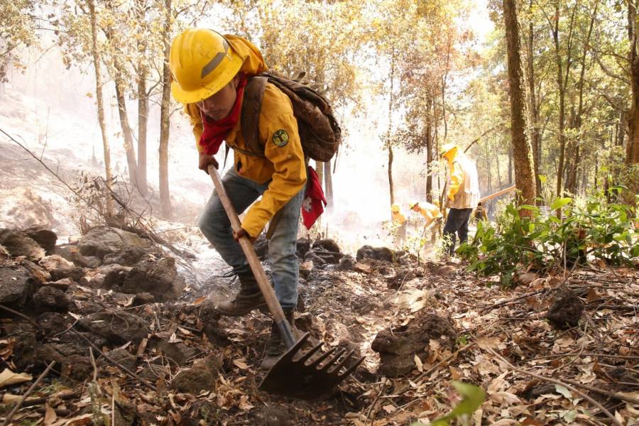 Combaten incendios 54 “Brigadas Dragones” en el Estado de México