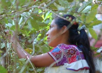 Rinde Agricultura homenaje a “Mujeres rurales” en la sede de la CDMX