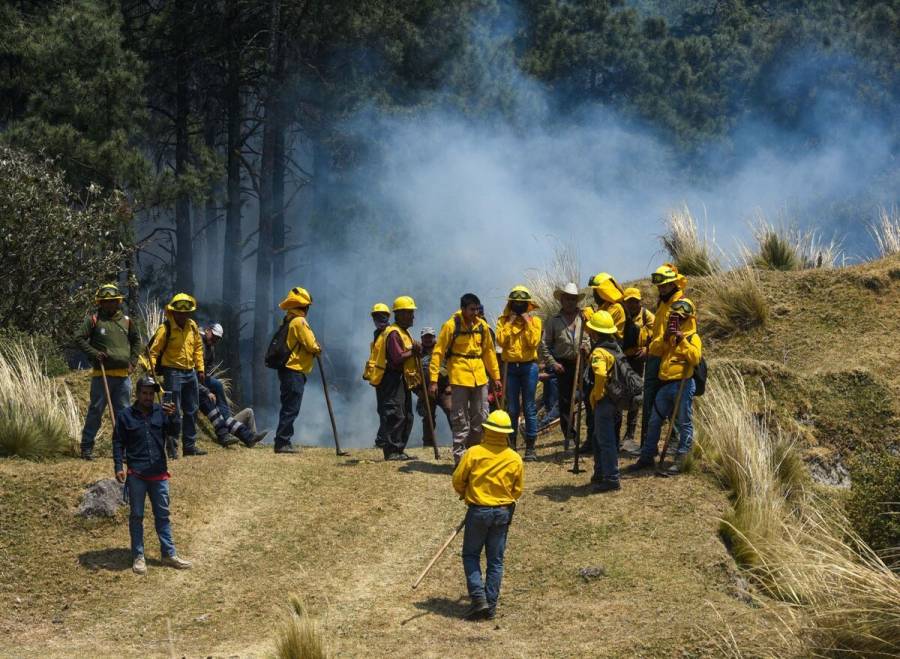 Edomex ocupa el segundo lugar en detección de incendios forestales: Conafor