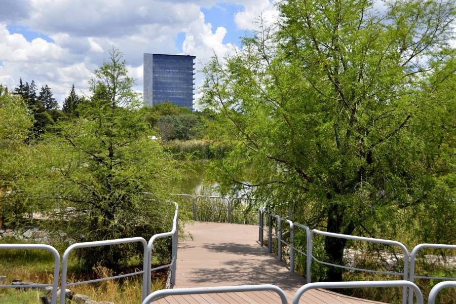 BUAP, sede del Cuarto Taller de Universidades Verdes de México