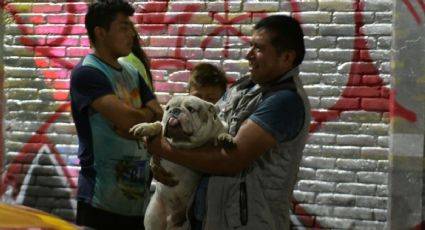 Rescatan a perrito del lugar donde cayó aeronave en Coyoacán      