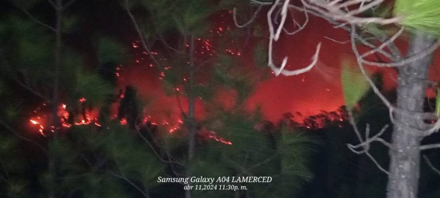 Más de dos mil hectareas de zonas forestales perdidas en región chontal de Oaxaca; urgen ayuda a Gobierno Federal