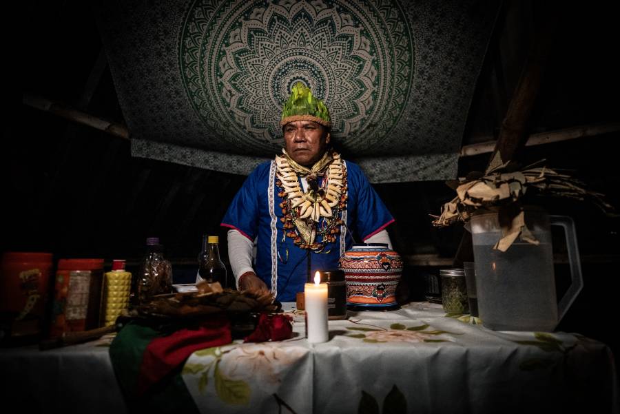 Ayahuasca: un brebaje psicodélico que lleva a los chamanes a la cárcel