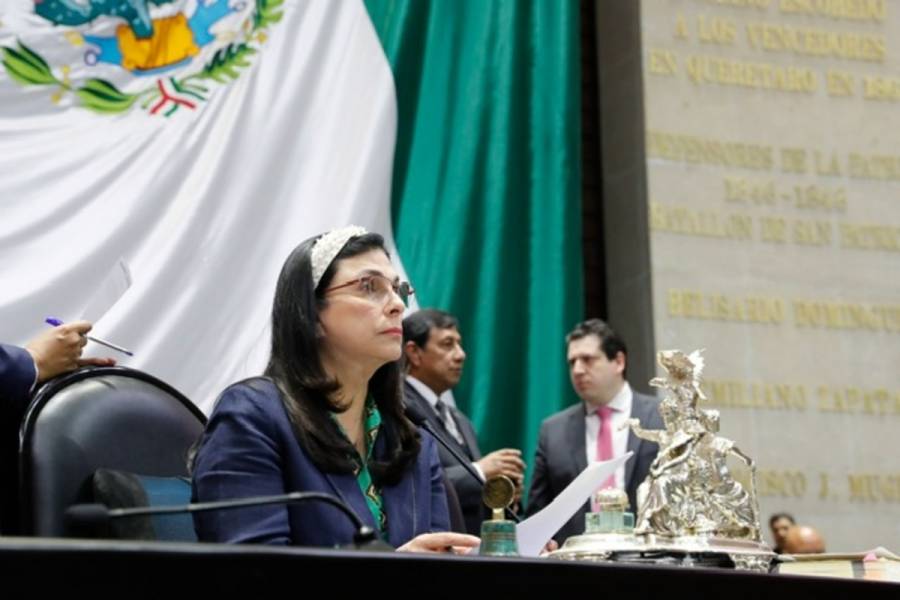 Se requiere una coordinación interinstitucional ante incendios forestales: Marcela Guerra