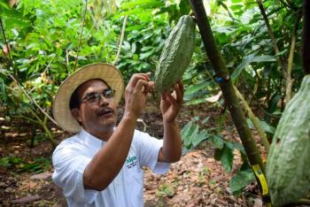 Aumenta 61% el superávit de la balanza agroalimentaria a febrero pasado