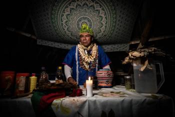 Ayahuasca: un brebaje psicod&eacute;lico que lleva a los chamanes a la c&aacute;rcel