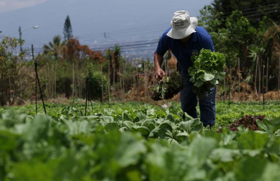 Industria alimentaria debe accionar plan de descarbonización: Daniel Madariaga Barrilado