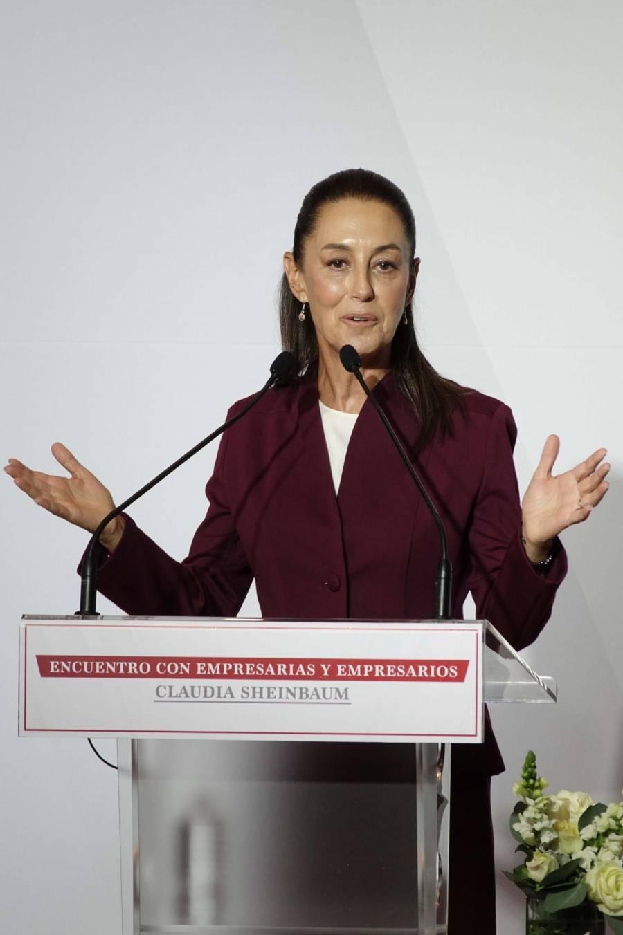 Claudia Sheinbaum en M&eacute;rida: Morena respalda la inversi&oacute;n privada