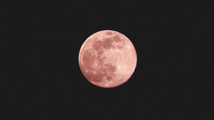 Luna rosa, un fenómeno que tendrá lugar en abril                     