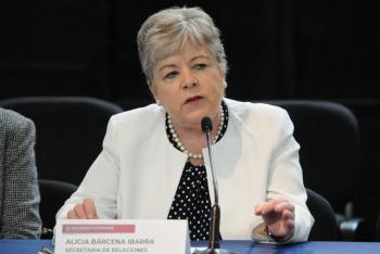Mi prioridad es proteger y empoderar a la comunidad mexicana en Texas: Alicia B&aacute;rcena