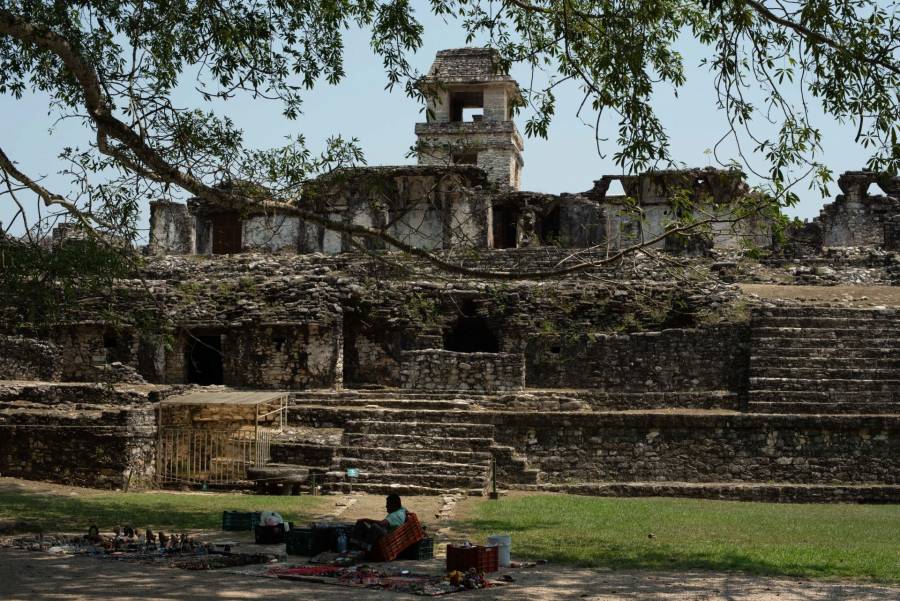 INAI ordena a SEMARNAT revelar impacto ambiental de hoteles del Tren Maya en seis sitios arqueológicos