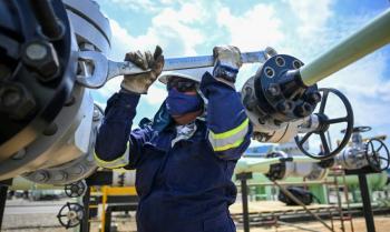 Colombia y Ecuador suspenden intercambio energ&eacute;tico ante crisis simult&aacute;nea