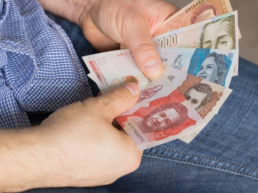 Gustavo Bol&iacute;var asegura que 20 mil mujeres “echaron al marido” para recibir renta ciudadana