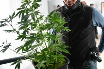 Detienen a directora de escuela por presuntamente estar involucrada en narcotr&aacute;fico