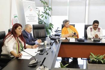 Aprueban en Comisi&oacute;n de Relaciones Exteriores convenio para impedir robo de bienes culturales