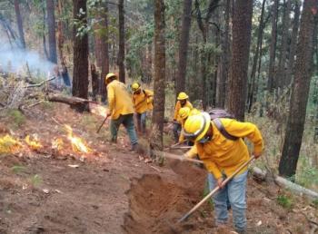 Refuerza Probosque trabajo interestatal para la prevenci&oacute;n y combate de incendios forestales