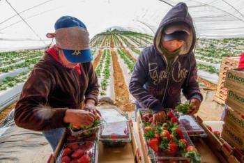 Crecen exportaciones agropecuarias y PIB del sector primario