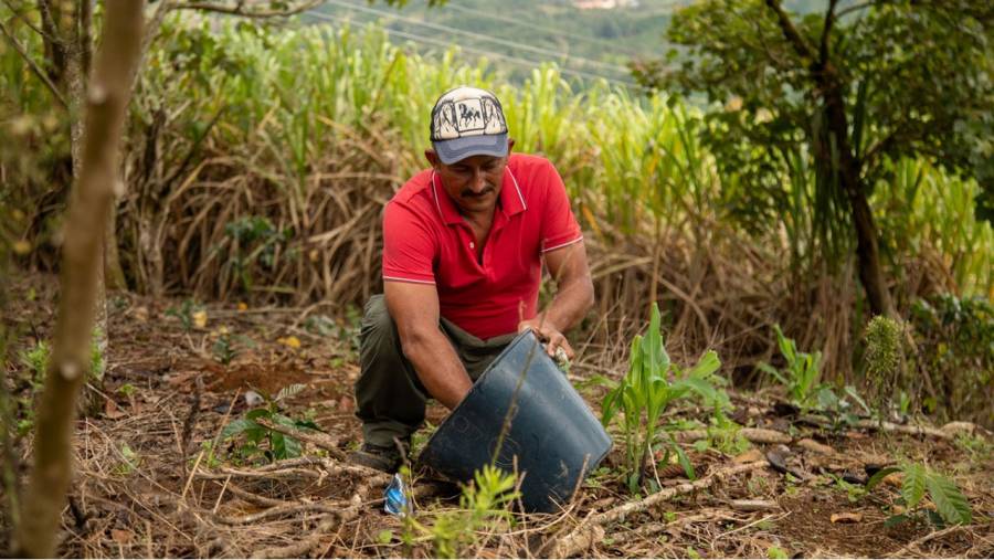 Petro confirma que Argos entregar&aacute; al campesinado todas las tierras que hab&iacute;a conseguido en Montes de Mar&iacute;a