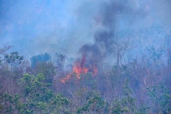 Incendio forestal amenaza el Parque Nacional de Uruapan