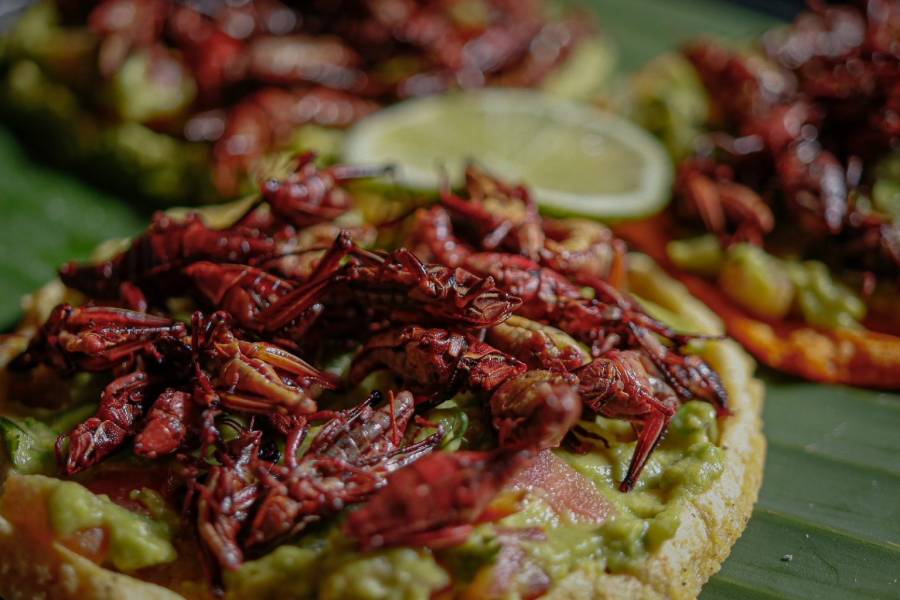 Invita Secretaría de Cultura y Turismo a visitar el Estado de México durante el fin de semana largo