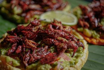 Invita Secretar&iacute;a de Cultura y Turismo a visitar el Estado de M&eacute;xico durante el fin de semana largo