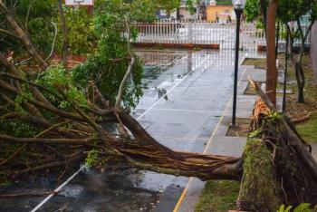 Tornado en Coahuila: Impacto de la alerta amarilla climatol&oacute;gica