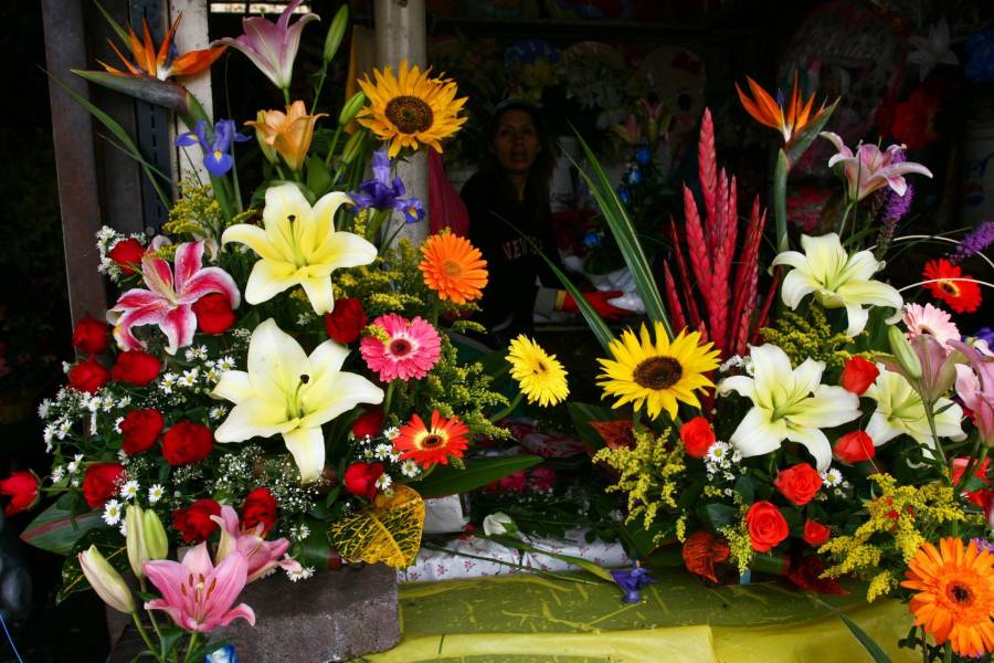 Día de las Madres en la CDMX generará derrama económica de 3,595 millones de pesos