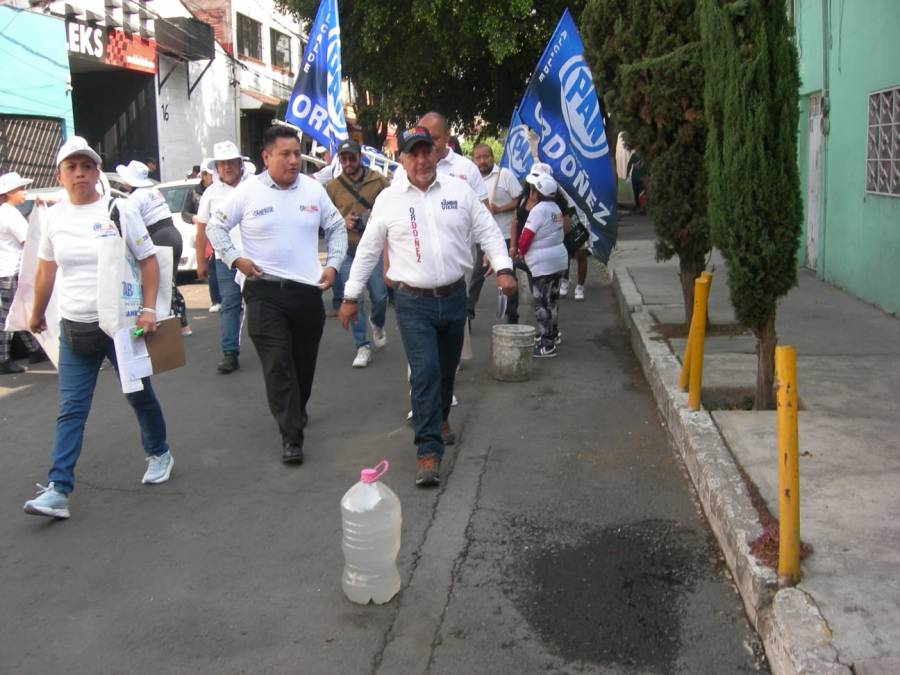Candidato de coalición 