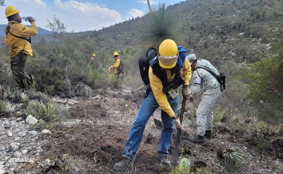Incendio forestal en Nuevo León, consume 240 hectáreas de vegetación