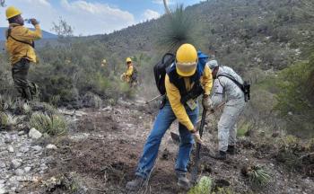 Incendio forestal en Nuevo Le&oacute;n, consume 240 hect&aacute;reas de vegetaci&oacute;n