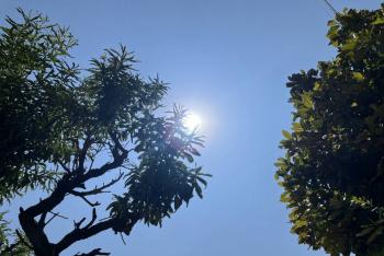 Ola de calor extrema para M&eacute;xico con 16 estados a m&aacute;s de 40 grados Celcius