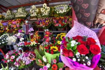 Garantizan productores abasto de flores ornamentales para el D&iacute;a de las Madres