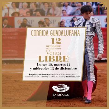 Otra vez Jueza suspende corridas de Toros en la Plaza M&eacute;xico