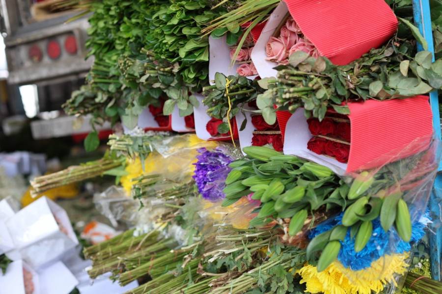 Estados Unidos principal destino de exportación de las flores mexiquenses: Secretaría del Campo