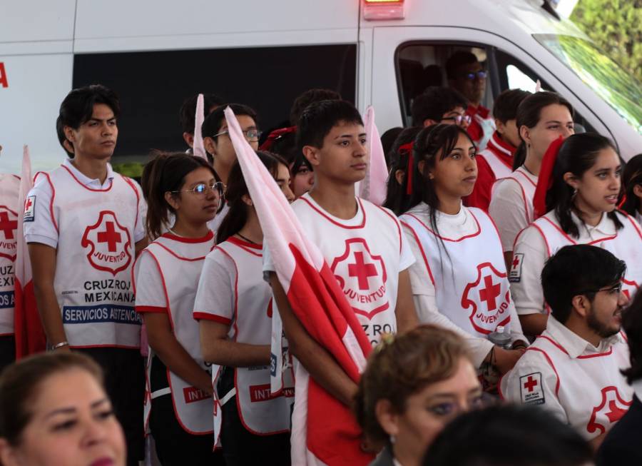 Celebraciones del 8 de mayo: Día de la Cruz Roja, Día Mundial del Cáncer de Ovario y Día Mundial del Burro