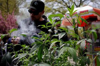 Venta legal de marihuana genera en EEUU m&aacute;s de 20 mil millones de d&oacute;lares en impuestos