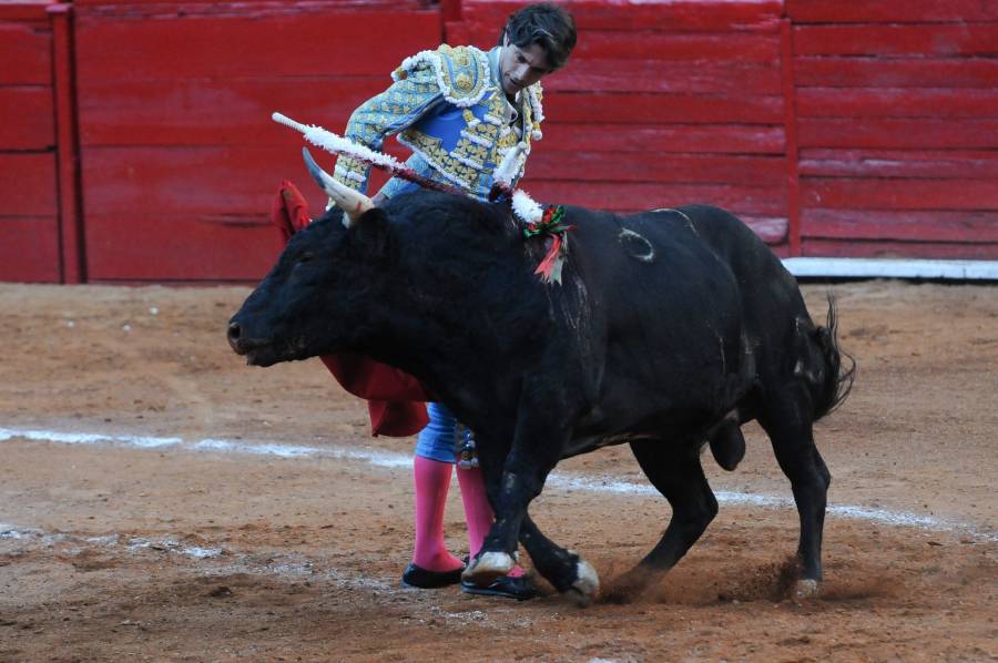 Tribunal Colegiado levanta suspensión provisional de corridas de toros en Plaza México   