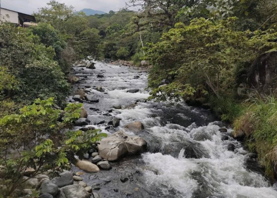Indignaci&oacute;n en Colombia por pareja que grab&oacute; contenido para adultos en un r&iacute;o