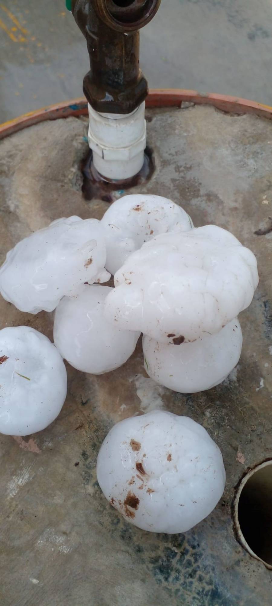 Sorprende granizo gigante en Anáhuac, Nuevo León, mientras otras regiones sufren ola de calor