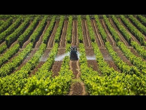 Debate sobre el artículo 61, avanza reforma agraria